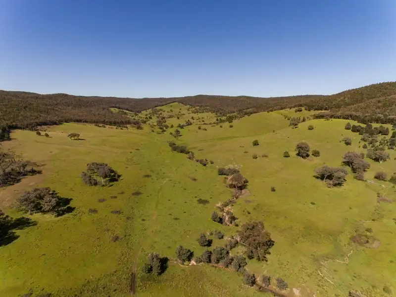 Main view of Homely rural property listing, 2154 Kangarooby Road, Gooloogong NSW 2805