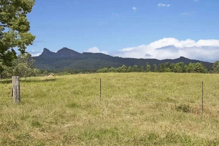Seventh view of Homely rural property listing, 73 Turpentine Place, Tyalgum NSW 2484