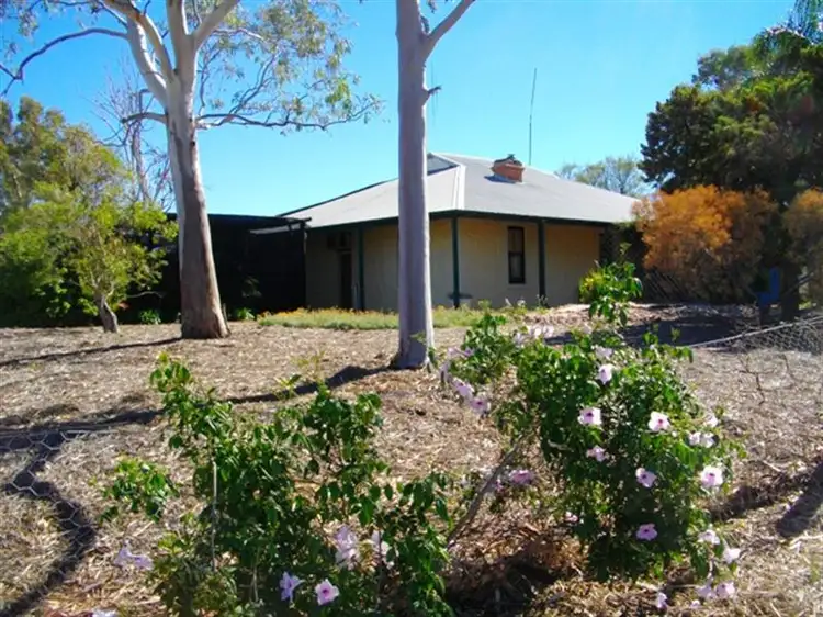 Main view of Homely rural property listing, 289 Government Road, Port Germein SA 5495