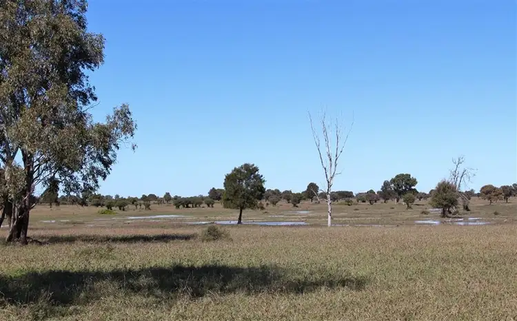 Seventh view of Homely rural property listing, Palari Sullivan's Road, Springsure QLD 4722