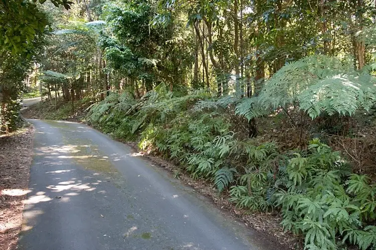 Third view of Homely rural property listing, 29 Garden of Eden Road, Tomewin NSW 2484