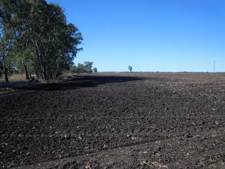 Second view of Homely rural property listing, 0 Leyburn Millmerran Road, Millmerran QLD 4357