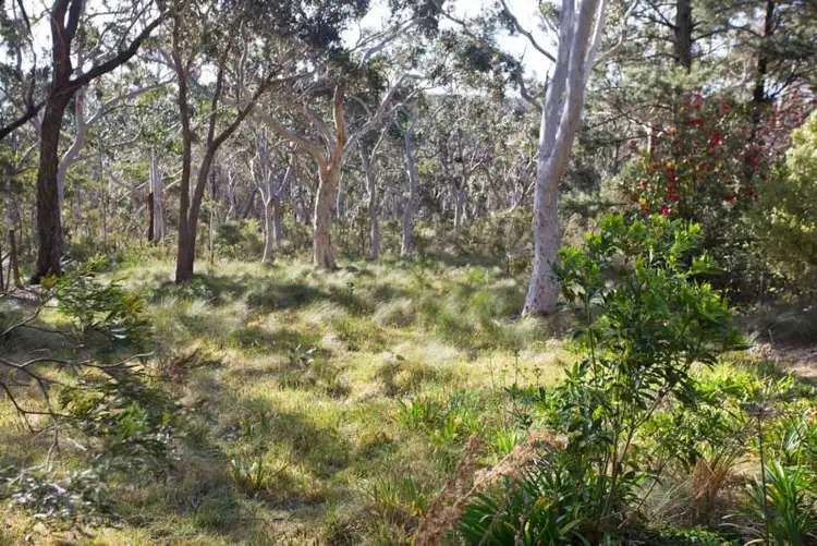 Block 13 Lot 1 DP736193 + Lot 166+167 DP16449 - Godson Avenue, Blackheath NSW 2785