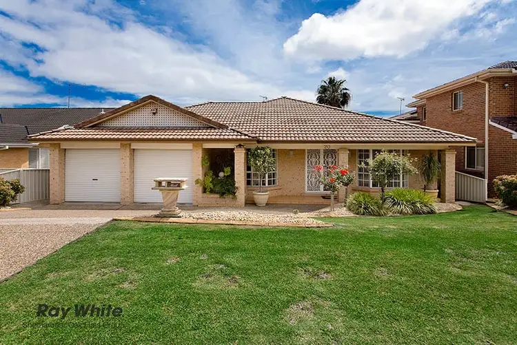 Main view of Homely house listing, 20 Bandicoot Drive, Blackbutt NSW 2529