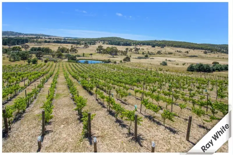 Main view of Homely house listing, 344 Norton Road, Wamboin NSW 2620