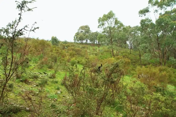 Fifth view of Homely rural property listing, 48 Heenans Lane, Heathcote VIC 3523
