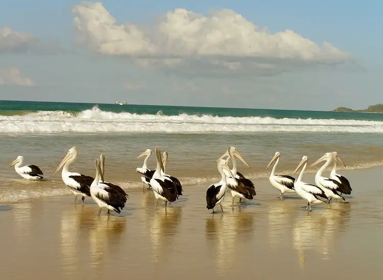 Sixth view of Homely apartment listing, 6/131 Muir Street, Labrador QLD 4215