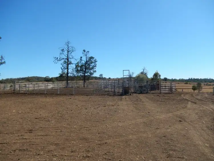Sixth view of Homely rural property listing, " Gunna Gumpy ", Bingara NSW 2404
