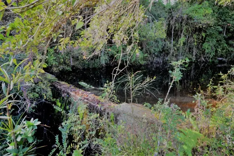 Fourth view of Homely rural property listing, Lot 70 Timmsvale Road, Ulong NSW 2450