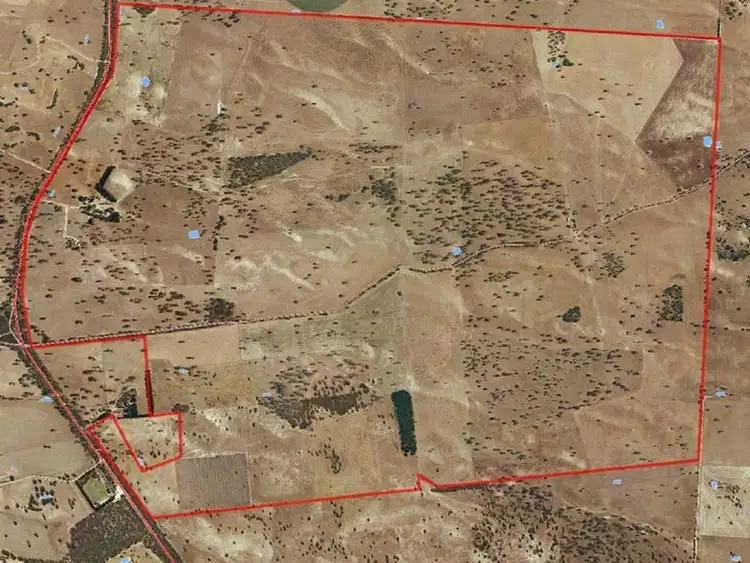 Fourth view of Homely rural property listing, 2397 Naracoorte Road, Bordertown SA 5268