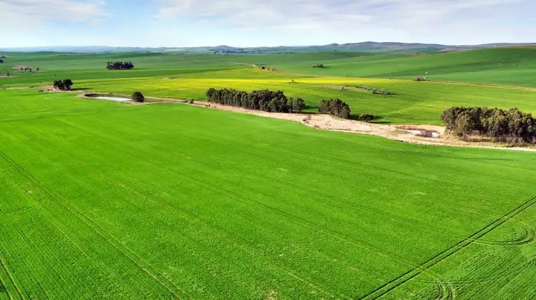 Fifth view of Homely rural property listing, "Allens" 304 Calcannia Road, Clare SA 5453