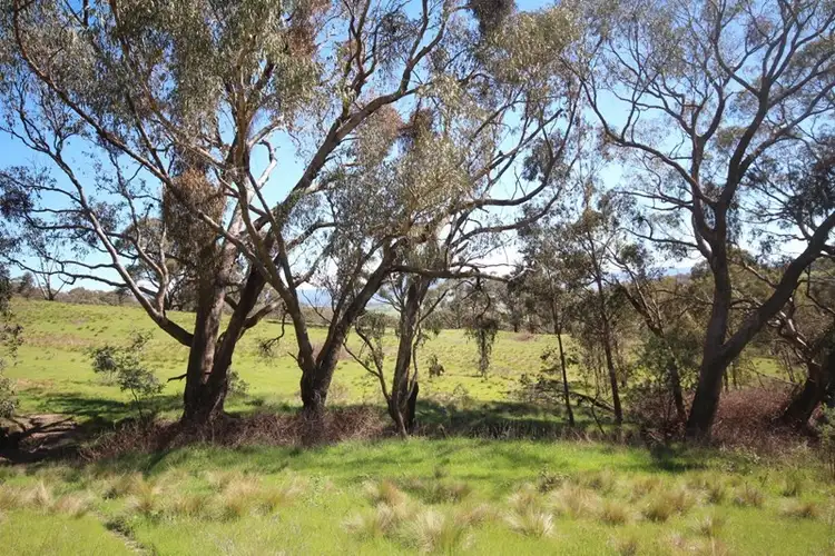 Fourth view of Homely rural property listing, 982 Lowes Mt Road, Oberon NSW 2787