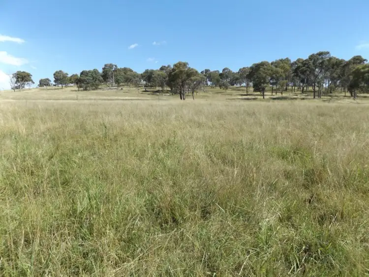 Seventh view of Homely rural property listing, 849 New England Highway, Glen Innes NSW 2370