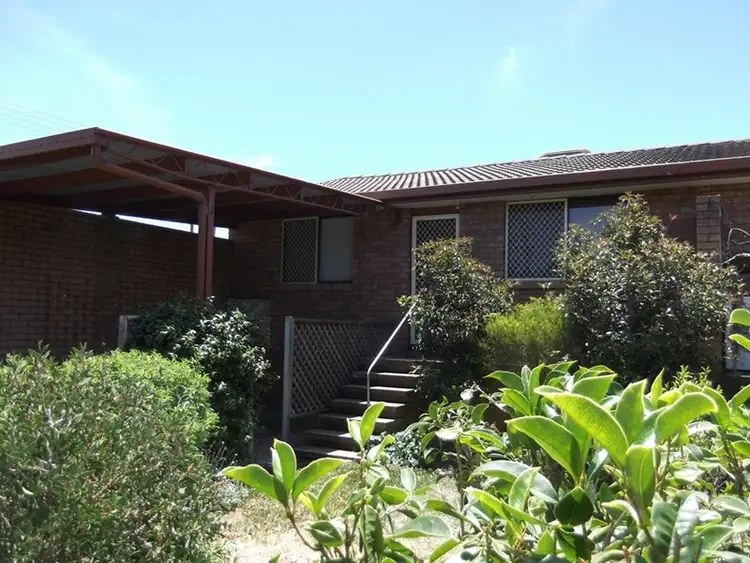 Main view of Homely unit listing, 1/1 Cohen Street, Tamworth NSW 2340