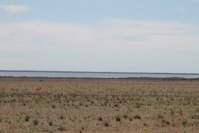 Fifth view of Homely rural property listing, 4 Sections Hundred of Playford, Cowell SA 5602