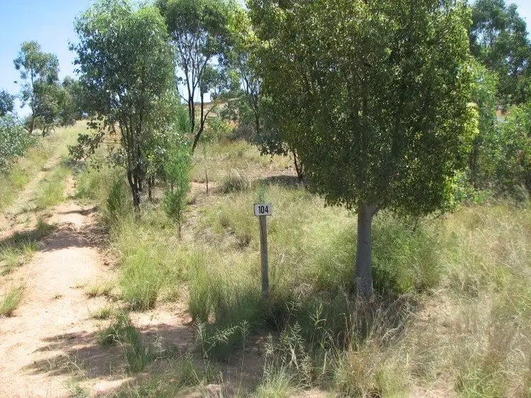 Main view of Homely rural property listing, Lot 10/104 Lachlan Waters Road, Wyangala NSW 2808