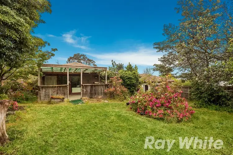 Main view of Homely house listing, 29 Christina Street, Burwood VIC 3125