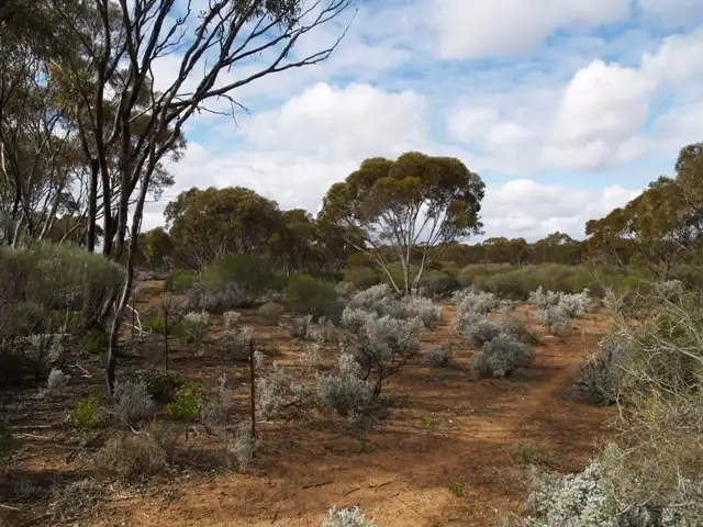 Main view of Homely land listing, Sec 194 Promnitz Road, Morgan SA 5320