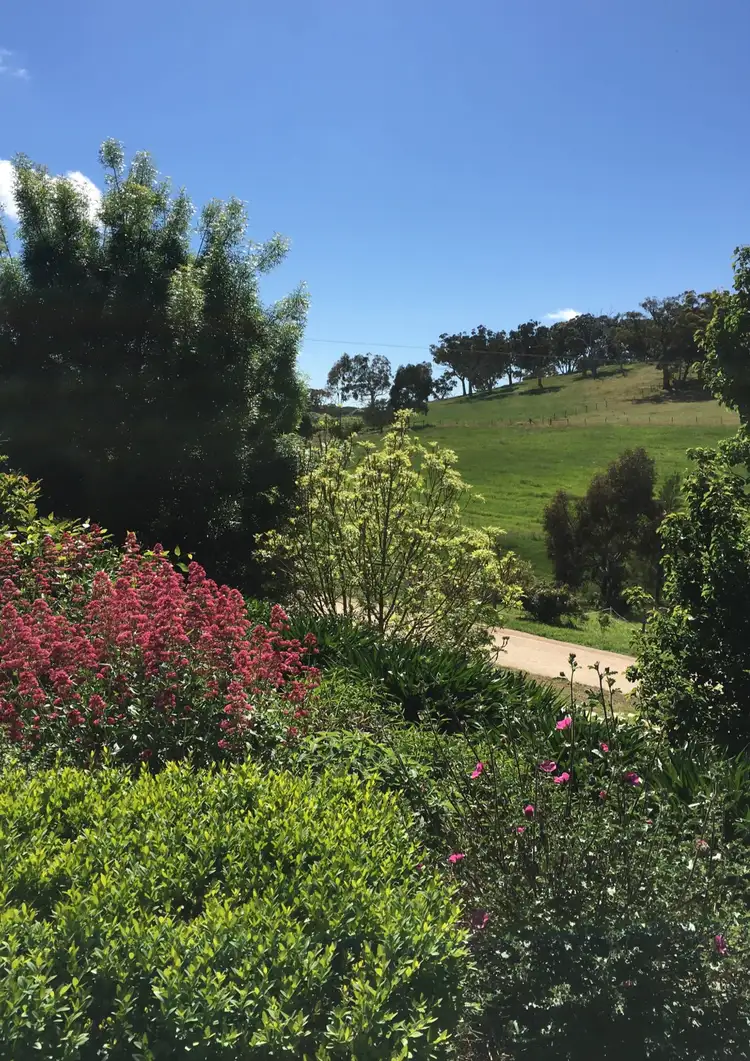 Sixth view of Homely rural property listing, 81 Totness Road, Hahndorf SA 5245