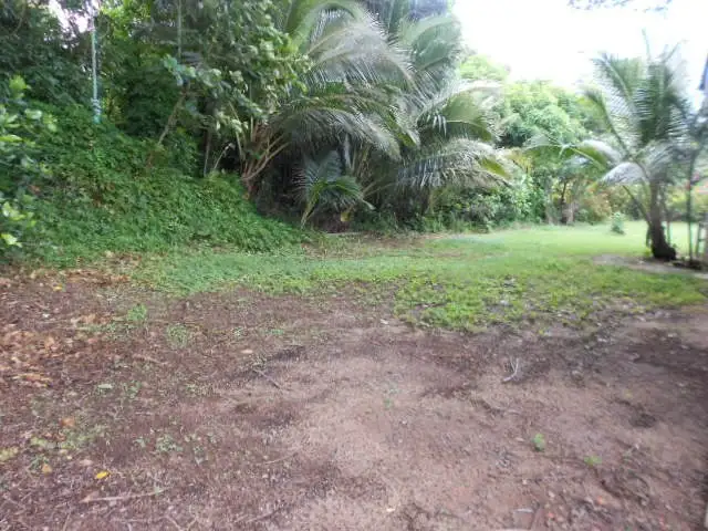 Fifth view of Homely house listing, 1 Elizabeth, Flying Fish Point QLD 4860