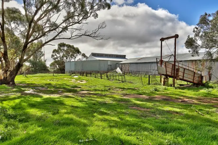 Sixth view of Homely rural property listing, "The Ridge" Barrier Highway, Manoora SA 5414