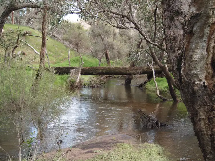 Beela Brook, Brunswick Junction, Brunswick Junction WA 6224