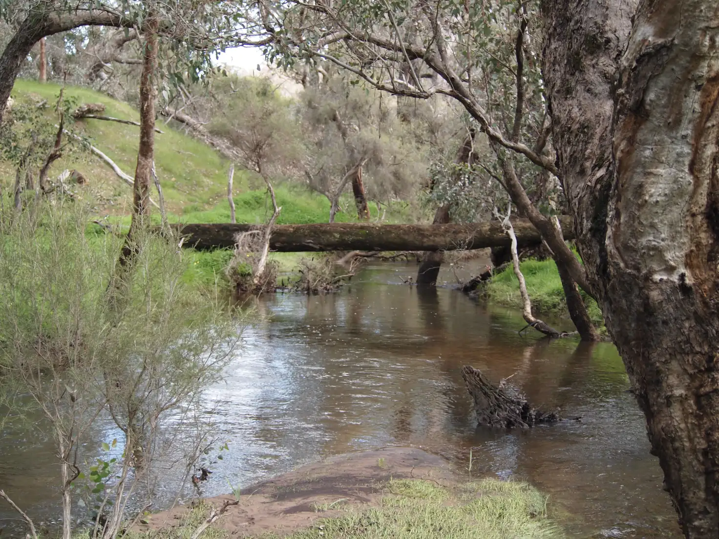 Main view of Homely rural property listing, Beela Brook, Brunswick Junction, Brunswick Junction WA 6224