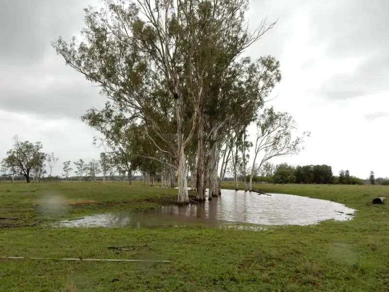 Main view of Homely rural property listing, 42782 Burnett Highway, Jambin QLD 4702