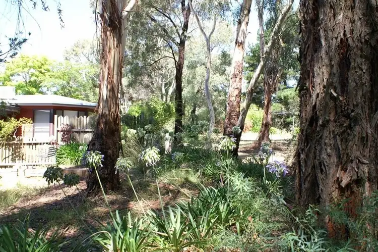 Sixth view of Homely house listing, 7 Don Peters Place, Orange NSW 2800