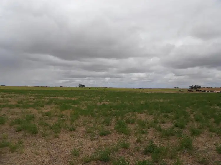 Fourth view of Homely rural property listing, Lot 10 Dukes Highway, Tintinara SA 5266