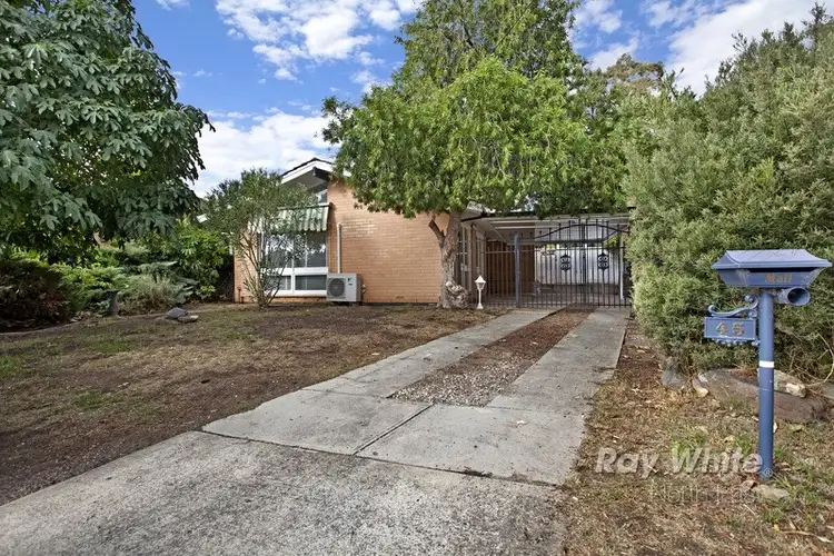 Main view of Homely house listing, 45 Hancock Road, Vista SA 5091