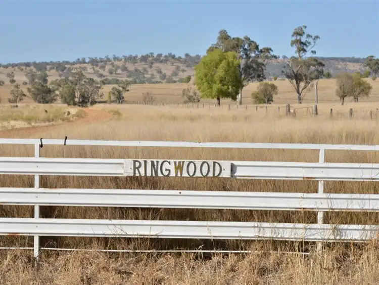 Sixth view of Homely rural property listing, RINGWOOD Napier Lane, Coonabarabran NSW 2357