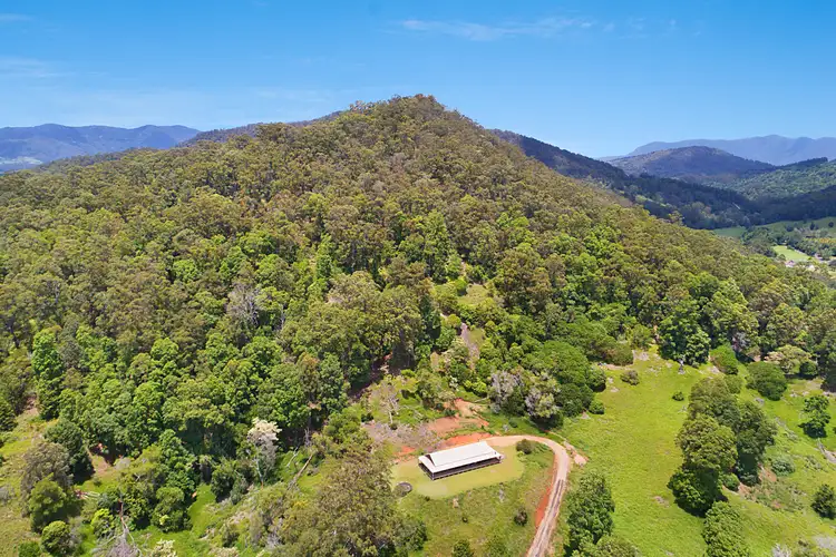 Seventh view of Homely rural property listing, 1851 Kyogle Road, Terragon NSW 2484