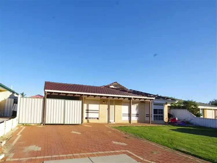 21 River Fig Place, Alexander Heights WA 6064