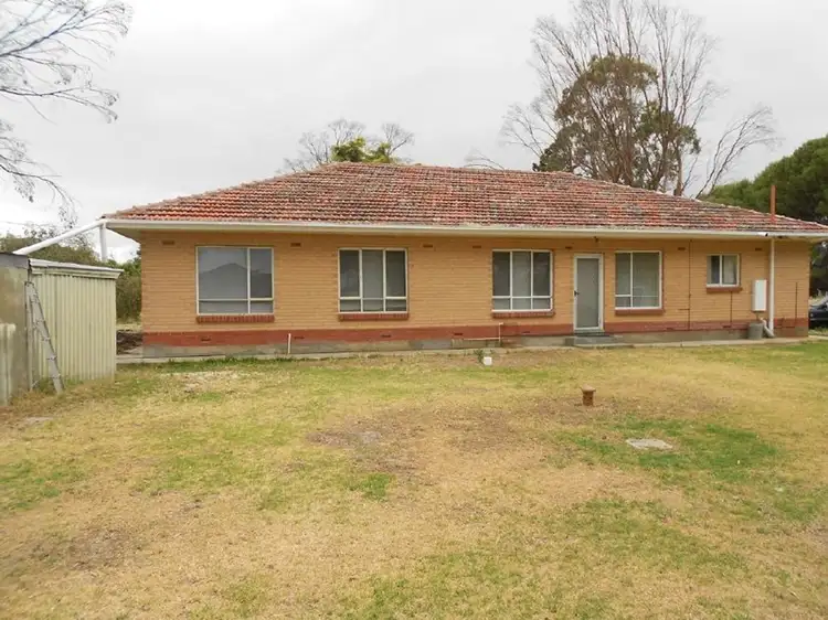 Second view of Homely rural property listing, Lot 10 Dukes Highway, Tintinara SA 5266