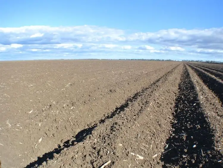 Third view of Homely rural property listing, "Glendarra" Narrabri, Narrabri NSW 2390