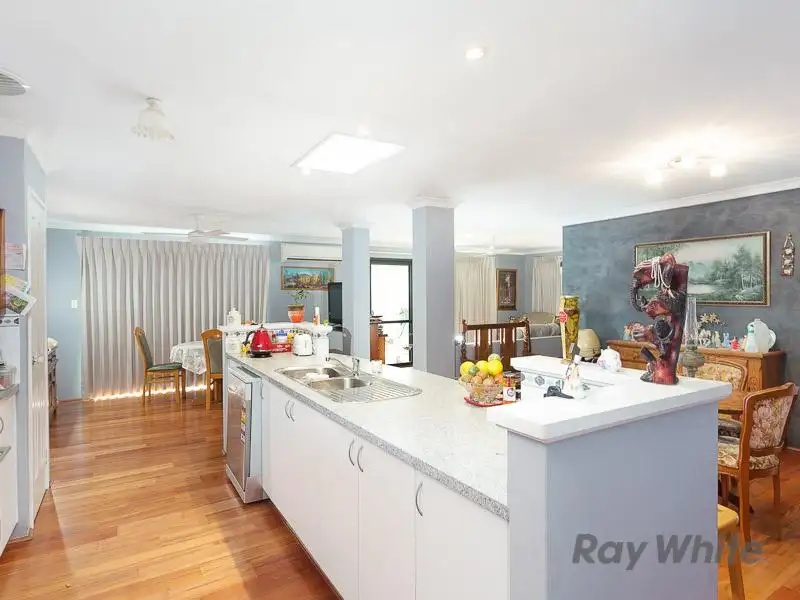 Main view of Homely house listing, 23 Coppito Circle, Beeliar WA 6164