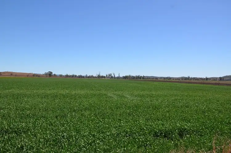 Fourth view of Homely rural property listing, 155 Macauley Road, Tansey QLD 4601