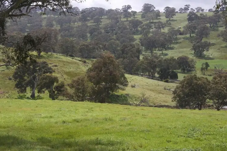 Second view of Homely rural property listing, Lot 203 Petwood Road, Nairne SA 5252