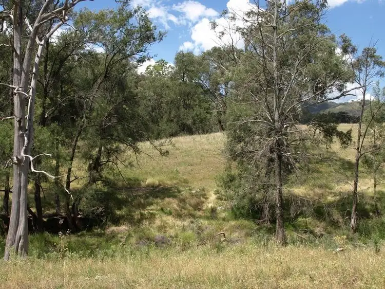 Main view of Homely rural property listing, Lot 1 Halls Creek Road, Halls Creek NSW 2346