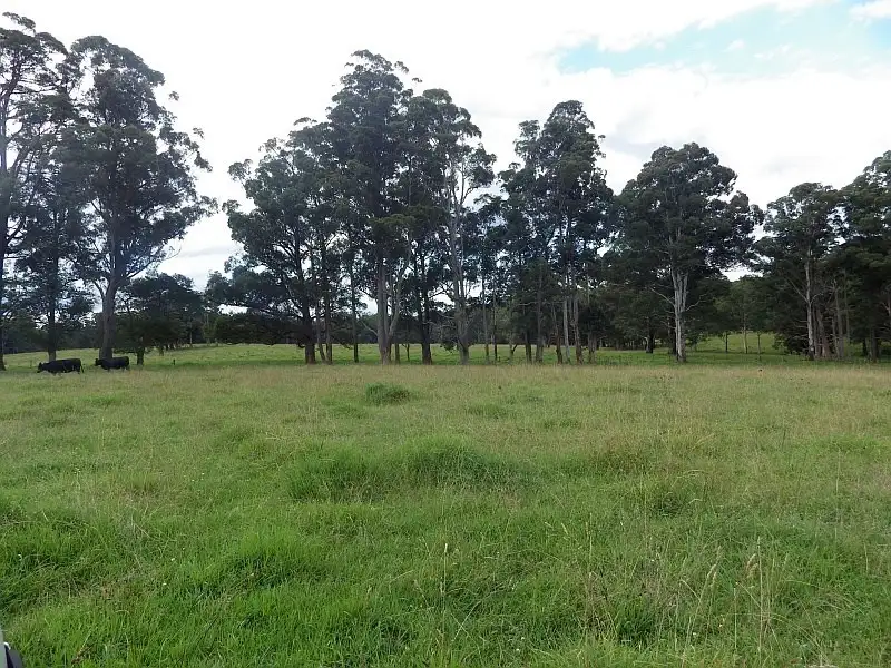 Main view of Homely rural property listing, 9408 Armidale Road, Tyringham NSW 2453