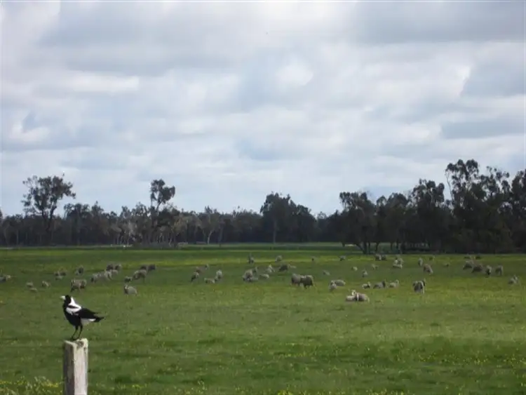 Main view of Homely rural property listing, Lot 1 Martigallup Road, Kendenup WA 6323