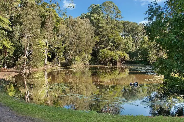 Fourth view of Homely rural property listing, 106-108 Winston Road, Palmwoods QLD 4555