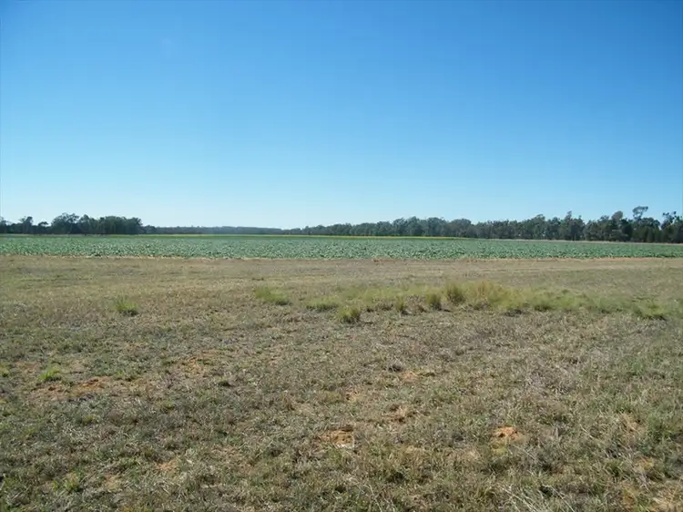 Second view of Homely rural property listing, . "BAR-K" and "PINNEENA", Chinchilla QLD 4413