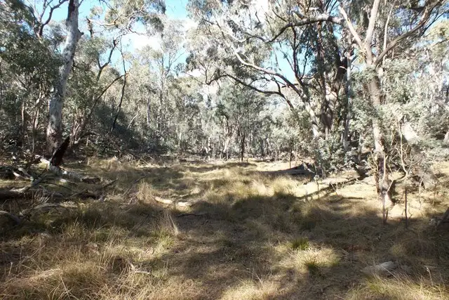 Seventh view of Homely rural property listing, 1002 Sewells Creek Road, Oberon NSW 2787
