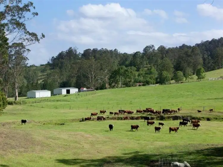 Main view of Homely rural property listing, 256 Warrawillah Road, Marlee NSW 2429