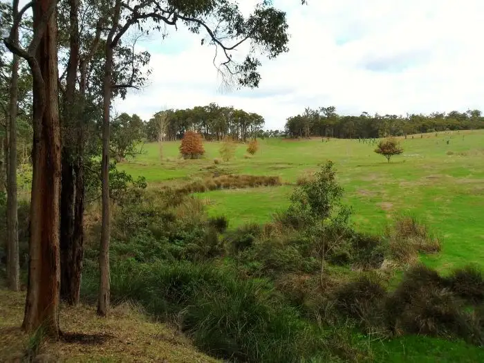 Fourth view of Homely rural property listing, 3 Halleys Road, Nannup WA 6275