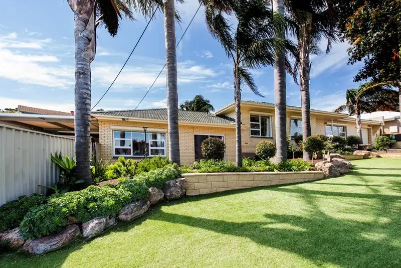 Main view of Homely house listing, 16 Atkins Crescent, Morphett Vale SA 5162