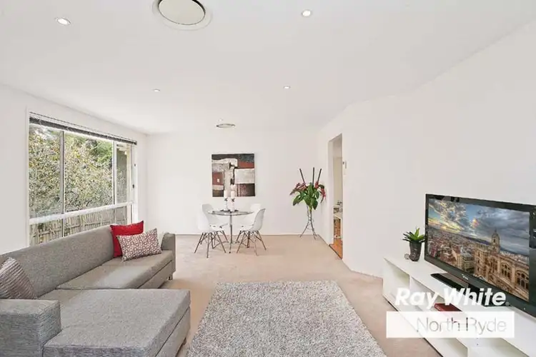 Fifth view of Homely house listing, 38 David Avenue, North Ryde NSW 2113