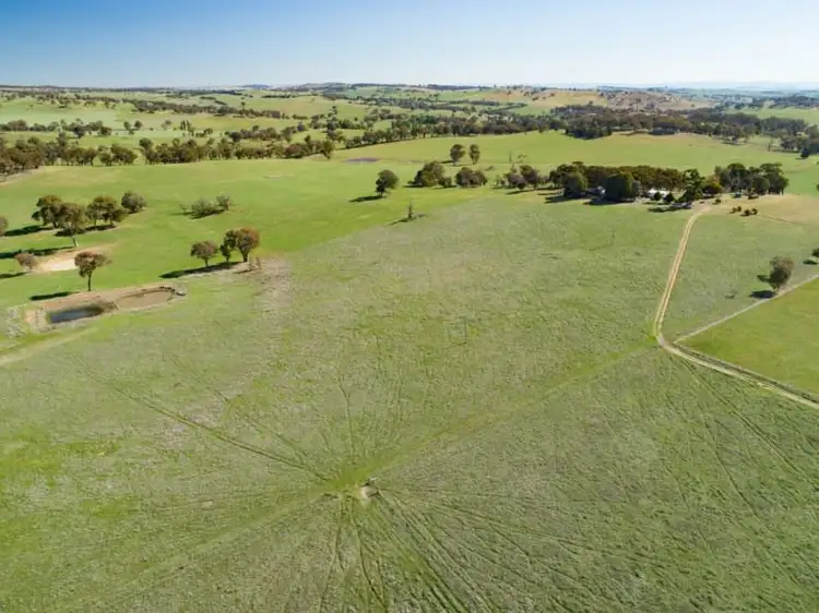 Main view of Homely rural property listing, 7089 Mid Western Highway, Lyndhurst NSW 2797